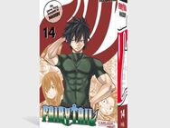 Fairy Tail Massiv Manga Band 1-14 - Düsseldorf