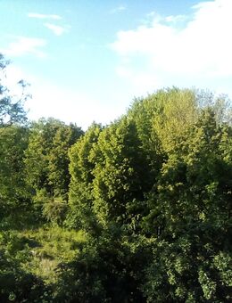 Appartement zu verkaufen - Bergheim (Nordrhein-Westfalen)