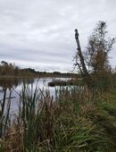 Aktivitäts-Partner/in in 08056