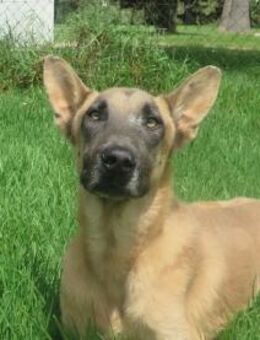 Teide - Neubrunn (Bayern)