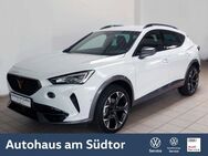 Cupra Formentor 4Drive 2.0 TDI DSG | LED RFK ACC - Rietberg