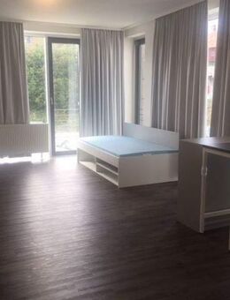APP 1.01 - Großzügiges Apartment - Modernes Duschbad - praktische Einbauküche - schöne Möblierung - Clausthal-Zellerfeld