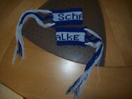 Schalke Armbänder - Erwitte