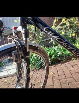 Herren Fahrrad - Bottrop