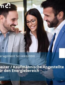 Sachbearbeiter / Kaufmännische Angestellte (m/w/d) für den Energiebereich - Sangerhausen