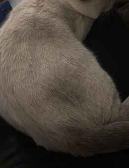 BKH - Brandenburg (Havel) Zentrum