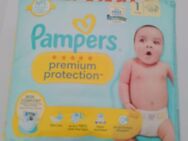 Pampers Protection - Nordenham Zentrum