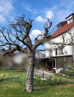 Doppelhaushälfte in Jena-Süd mit großem Garten und Garage - Jena