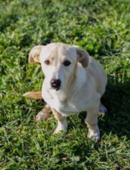 259209 - laßt uns mal was unternehmen - Overath