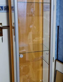 Schöner Glas  Vitrienenschrank, 1 Glastür , dahinter 4 Glas-Einlegeböden - Frankfurt (Main) Unterliederbach