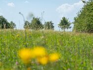 Grün, grüner - AMALIE, Wohnen in ruhiger Randlage - Hannover