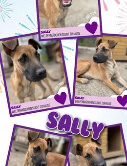 Tolle Sally wartet aufs Glück! - Nürnberg