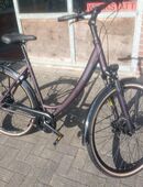 Neu PEGASUS Savona SL Disc Trekking Nabenschaltung  8 Gang Rücktritt statt 1.199,00 € in 52525