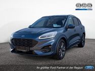 Ford Kuga, ST-LINE X, Jahr 2023 - Halle (Saale)