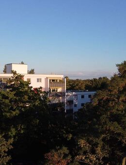 Moderne Architektur im Grünen - Berlin