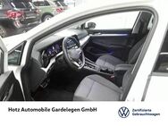 VW Golf, 2.0 TDI VIII Move, Jahr 2024 - Gardelegen (Hansestadt)