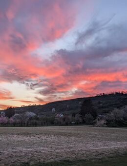 Suche asiatische Frau für liebevolle Beziehung - Freiburg (Breisgau)