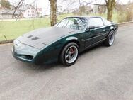 Pontiac Firebird Trans Am Teile 1991 - Schöftland