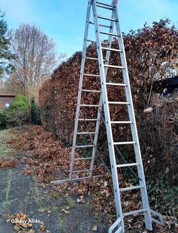 Heckenschnitt Ich mache Ihren Garten schön - Hamburg Wandsbek