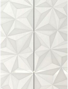 INOSIGN Aktenschrank Prisma, Breite 63 cm, Höhe 114 cm, 2 Türen (2 Einlegeböden) Büroschrank, Mehrzweckschrank, Front mit Siebdruck