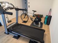 Laufband Horizon Paragon 6 - Fritzlar