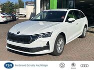 Skoda Octavia, 2.0 TDI Combi Selection M, Jahr 2022 - Rostock