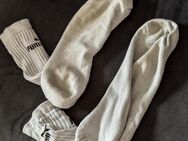 Getragene Socken, Speedos oder Radhosen auch mit Cum - Hamburg