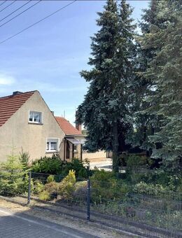 Großzügige Doppelhaushälfte mit Doppelgarage und Keller - Wittenberg (Lutherstadt)