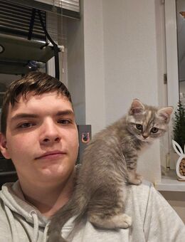 Auf der Suche! - Chemnitz