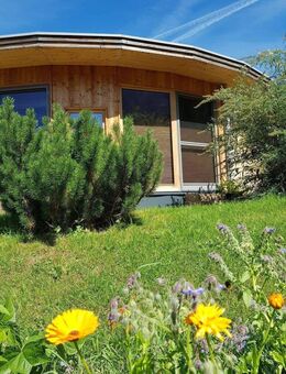 „Alpines Lebensgefühl trifft Naturverbundenheit“ Zwei charmante Holzhäuser in Elmen (Reutte-Tirol) bieten einzigartigen Rückzugsort zum Wohnen - Füssen