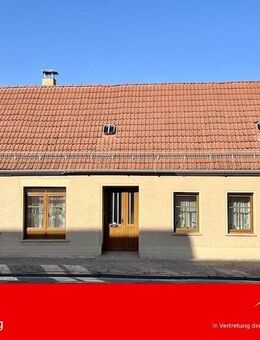 Wohnen im Herzen Oranienbaums - Oranienbaum-Wörlitz
