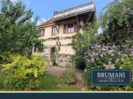 BRUMANI | Haus mit Blick auf den Rhein in Rhinau (F) - Kappel-Grafenhausen
