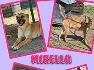 Liebe Mirella möchte gesehen werden! - Nürnberg