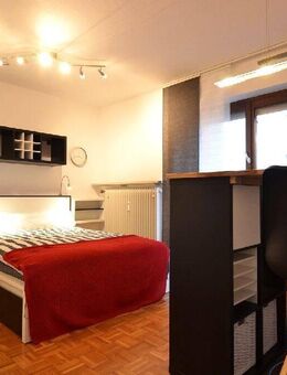 Neu möblierte Wohnung in der Augsburger Altstadt - Augsburg