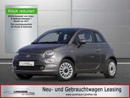 Fiat 500 1.3 GSE Hybrid DolceVita // PDC/Alu/Pano - Thannhausen