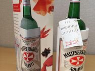 Alkohol-Flaschen (Whisky, Cognac, Likör, ...) - Hagen (Stadt der FernUniversität)