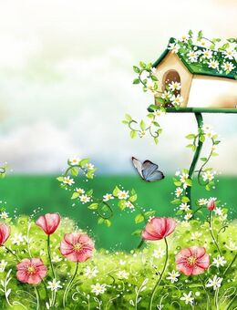 Bien-Zenker: Ihr Traumhaus, individuell wie Sie - Alheim