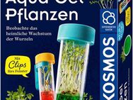 Kosmos Experimentierkasten Fun Science Aqua-Gel Pflanzen, Made in Germany