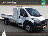 Fiat Ducato Heavy 35 L5 Kipper/Prit./Koff./AHK/160ps - Dresden