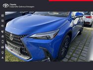 Lexus NX 350h, Executive Line, Jahr 2024 - Freising