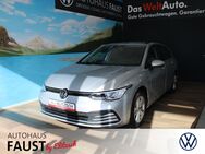 VW Golf Variant, Golf VIII TDI Life, Jahr 2022 - Coswig