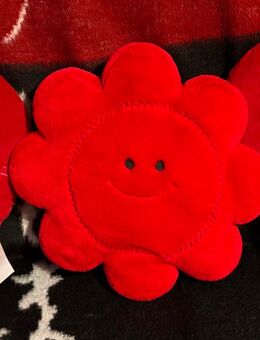 3 rote Kissen: Blume + 2x Herzen, neuwertig - München