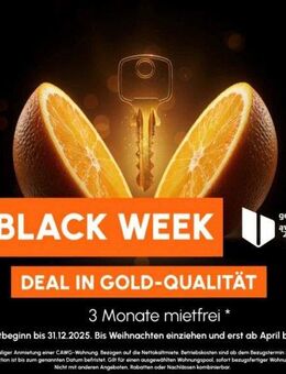 Große Wohnung / Balkon / Aufzug - Chemnitz