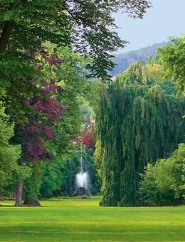 Villenanwesen in Bestlage von Baden-Baden - Baden-Baden