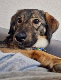 Kassandra möchte sich endlich binden💕 - München