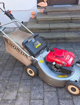Rasenmäher Honda Benzin - Buttenwiesen