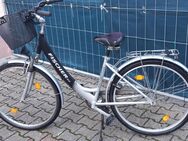 sehr gut erhaltenes Fahrrad Damenfahrrad Fischer Alu - Brackenheim