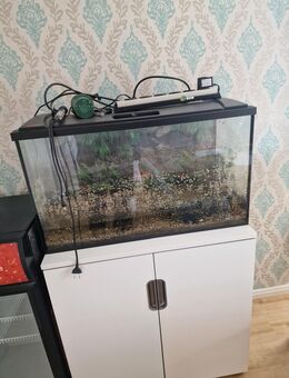 Aquarium mit set - Niederneisen