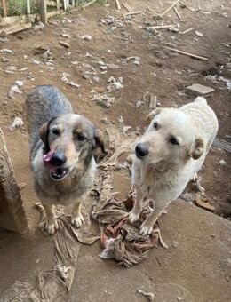 Gaia und Venus - verzaubern... - Marienfließ