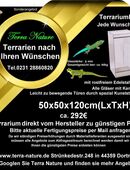 Terrarium 50x50x120cm (LxTxH) Terrariumbau in 44359